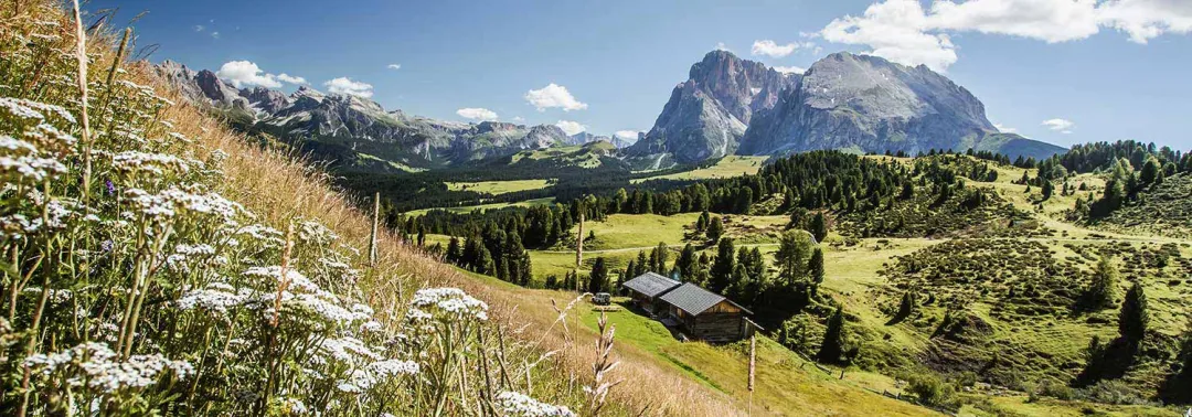 seiser-alm-dolomiten (Foto: Carmen Mucklenbeck-Billeter) seiser-alm-dolomiten (Foto: Carmen Mucklenbeck-Billeter)