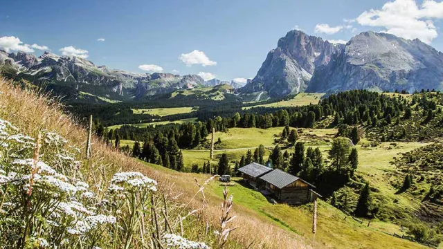 seiser-alm-dolomiten (Foto: Carmen Mucklenbeck-Billeter) seiser-alm-dolomiten (Foto: Carmen Mucklenbeck-Billeter)